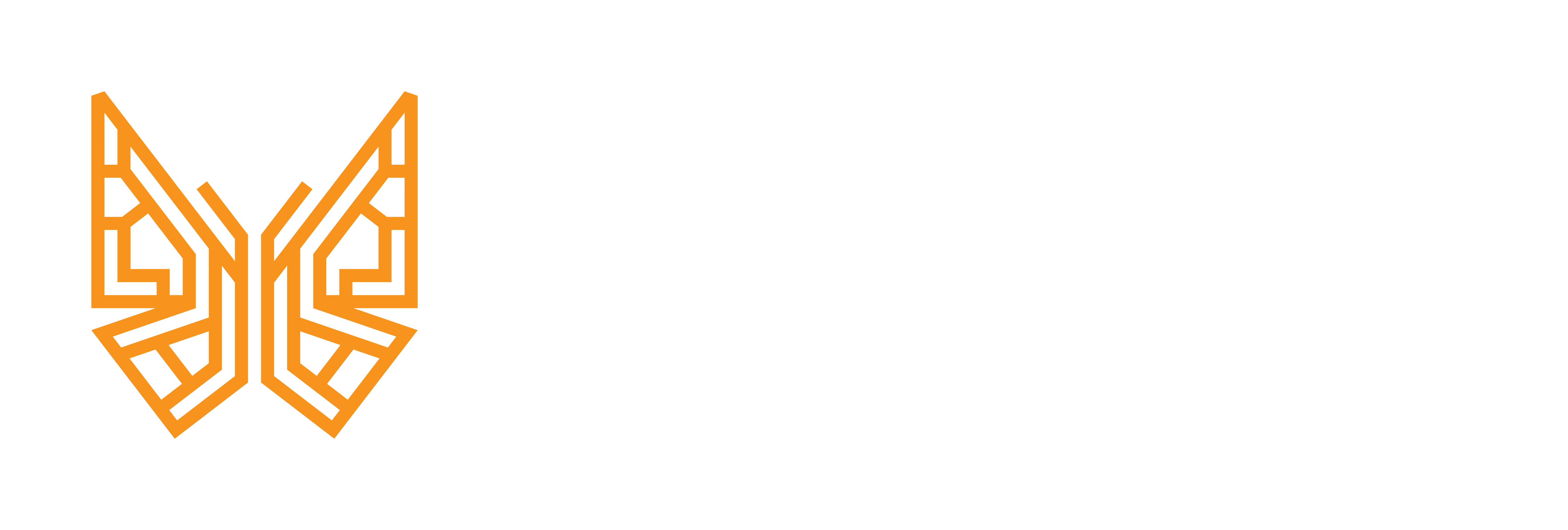 Footer MasterPrint logo